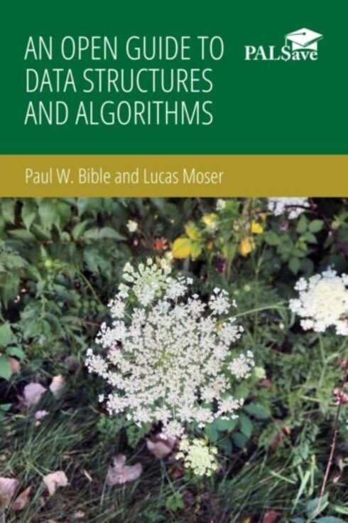 Read more about An Open Guide to Data Structures and Algorithms