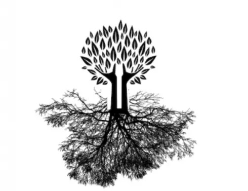 Human Behavior and the Social Environment II cover image Read more about Human Behavior and the Social Environment II