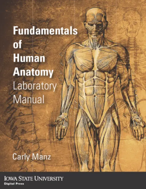 Fundamentals of Human Anatomy Laboratory Manual cover image Read more about Fundamentals of Human Anatomy Laboratory Manual