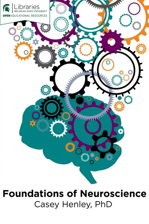 Foundations of Neuroscience cover image Read more about Foundations of Neuroscience