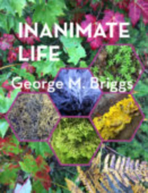 Inanimate Life cover image Read more about Inanimate Life
