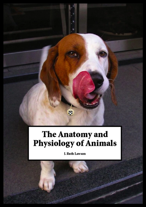 Anatomy and Physiology of Animals cover image Read more about Anatomy and Physiology of Animals
