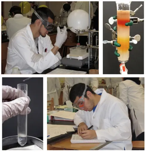 Organic Chemistry Laboratory Techniques cover image Read more about Organic Chemistry Laboratory Techniques