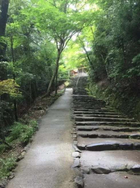 Beginning Japanese for Professionals: Book 1 cover image Read more about Beginning Japanese for Professionals: Book 1