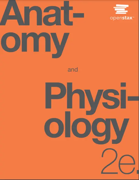 Anatomy and Physiology - 2e cover image Read more about Anatomy and Physiology - 2e