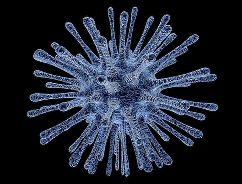 Microbiology cover image Read more about Microbiology
